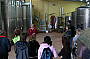 Behind the Scenes Wine Making Tour