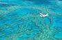 Great Barrier Reef