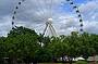 Wheel of Brisbane