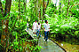 Rainforest Boardwalk